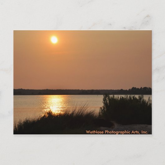 Cape Fear River Briefkaart (Voorkant)