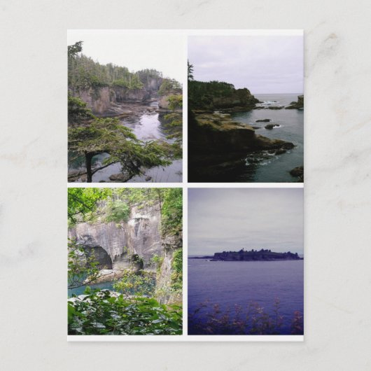 Cape Flattery-collage Briefkaart (Voorkant)