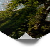 Cape Flattery Inlet, Washington Print (Hoek)