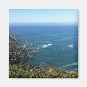 Cape Foulweather, Oregon Magneet