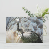 Cape Griffon Vulture Platte Kaart (Staand voorkant)