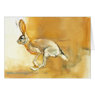 Cape Hare 2010