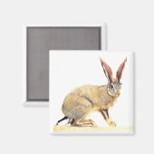 Cape Hare 2010 2 Magneet (Voorkant / Achterkant)