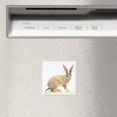 Cape Hare 2010 2 Magneet (Insitu (Vaatwasser))