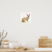 Cape Hare 2010 2 Poster (Keuken)