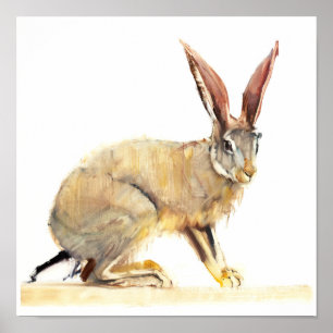 Cape Hare 2010 2 Poster