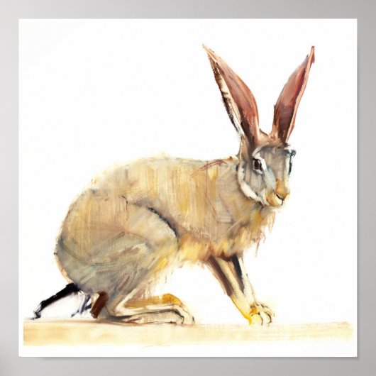 Cape Hare 2010 2 Poster (Voorkant)