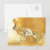 Cape Hare 2010 Briefkaart (Voorkant / Achterkant)