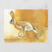 Cape Hare 2010 Briefkaart (Voorkant)