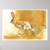 Cape Hare 2010 Poster (Voorkant)