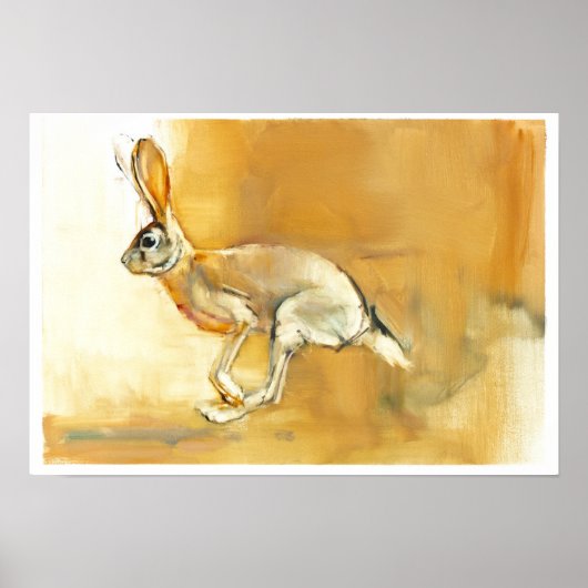 Cape Hare 2010 Poster (Voorkant)