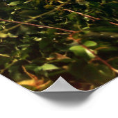 Cape Henry Lighthouse Poster (Hoek)