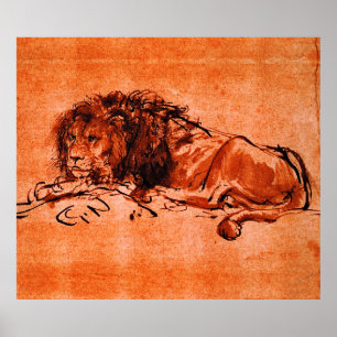 CAPE LION LYING DOWN by Rembrandt Oranje Black Poster