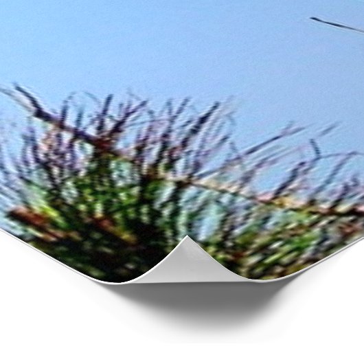 Cape Lookout Poster (Hoek)