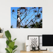 Cape Lookout Poster (Thuiskantoor)