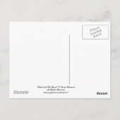 Cape May Briefkaart (Achterkant)