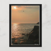 Cape May Briefkaart (Voorkant)