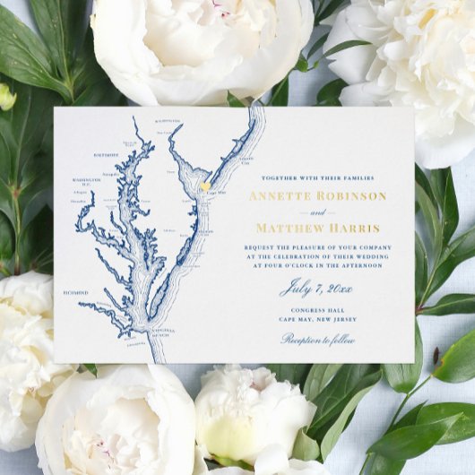 Cape May New Jersey Wedding Navy and Gold Folie Uitnodiging