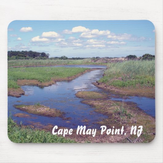 Cape May Point, NJ Muismat (Voorkant)