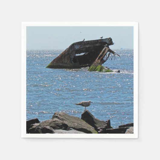 Cape May-scheepswrak Servet (Voorkant)