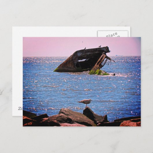Cape May Shipwreck Briefkaart (Voorkant / Achterkant)