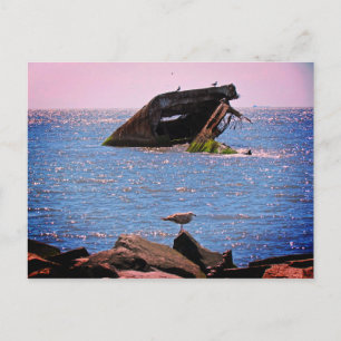 Cape May Shipwreck Briefkaart