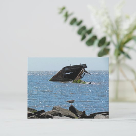 Cape May Shipwreck Briefkaart (Staand voorkant)