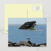 Cape May Shipwreck Briefkaart (Voorkant / Achterkant)