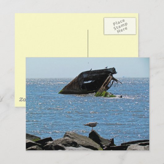 Cape May Shipwreck Briefkaart (Voorkant / Achterkant)