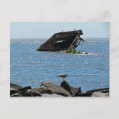 Cape May Shipwreck Briefkaart (Voorkant)