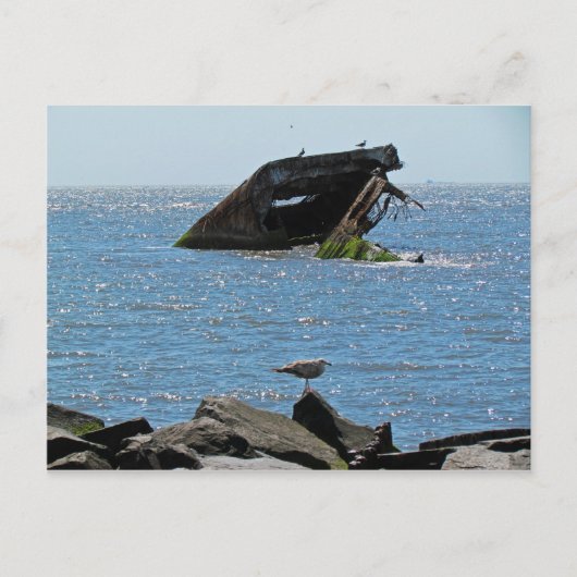 Cape May Shipwreck Briefkaart (Voorkant)