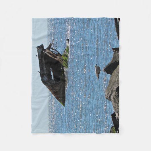 Cape May Shipwreck Fleece Deken (Voorkant)