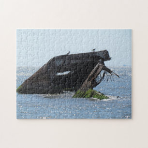 Cape May Shipwreck Legpuzzel