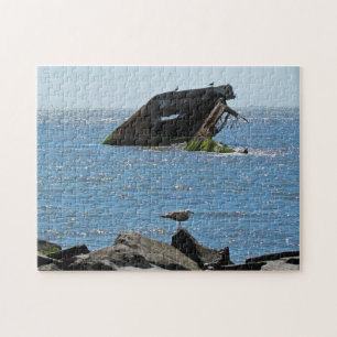 Cape May Shipwreck Legpuzzel