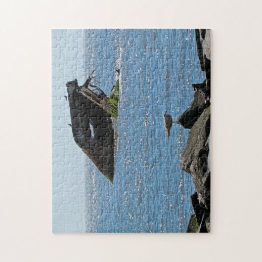 Cape May Shipwreck Legpuzzel (Verticaal)