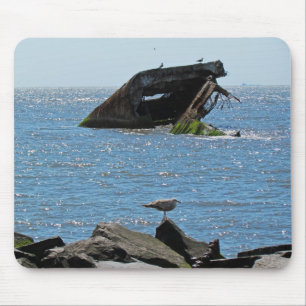 Cape May Shipwreck Muismat