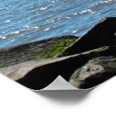 Cape May Shipwreck Poster (Hoek)