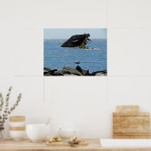 Cape May Shipwreck Poster (Keuken)