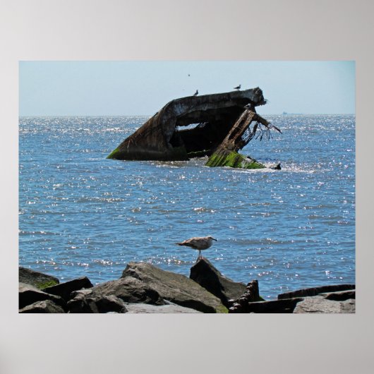 Cape May Shipwreck Poster (Voorkant)