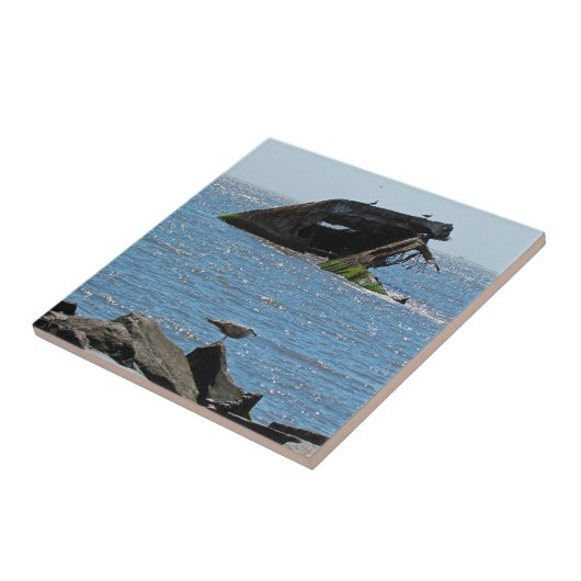 Cape May Shipwreck Tegeltje (Zijkant)