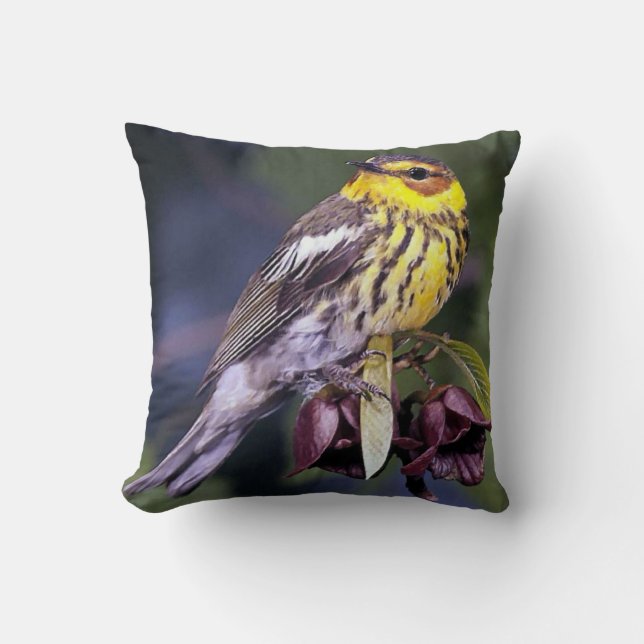 Cape May Warbler Bird Lovers Gifts Kussen (Voorkant)