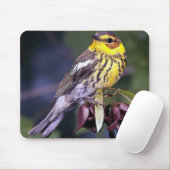 Cape May Warbler Bird Lovers Gifts Muismat (Met muis)