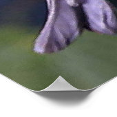 Cape May Warbler Bird Lovers Poster (Hoek)