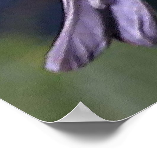 Cape May Warbler Bird Lovers Poster (Hoek)