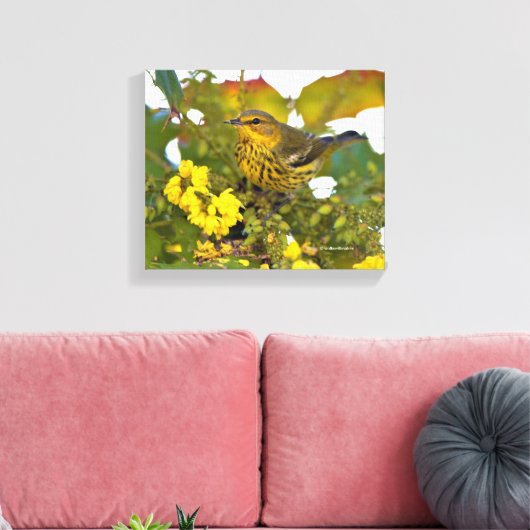 Cape May Warbler met bloeiende mahonia Canvas Afdruk (Insitu (Woonkamer))