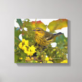 Cape May Warbler met bloeiende mahonia Canvas Afdruk (Voorkant)