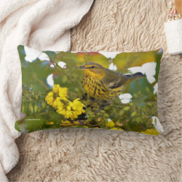 Cape May Warbler Songbird in Flowering Mahonia Kussen