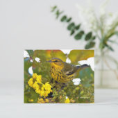 Cape May Warbler Songbird met bloeiende mahonia Briefkaart (Staand voorkant)