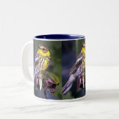 Cape May Warbler, Vogelvogels Tweekleurige Koffiemok (Voorkant links)