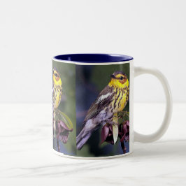 Cape May Warbler, Vogelvogels Tweekleurige Koffiemok